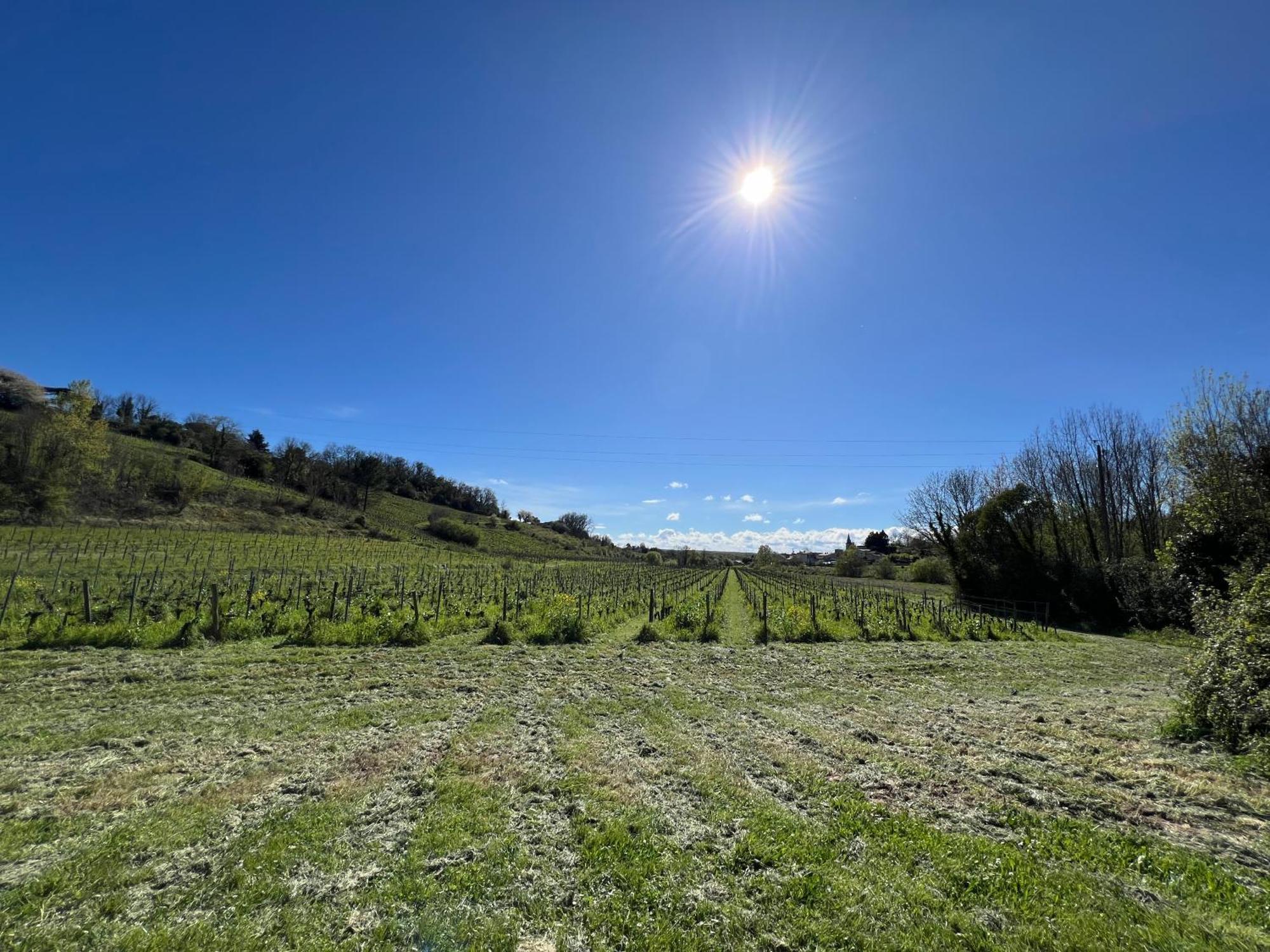 Holiday home La Tuilerie St Michel *